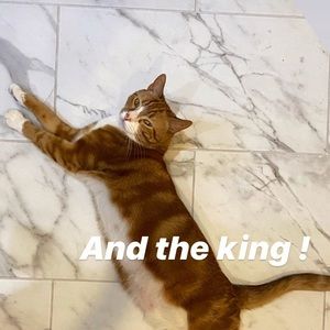 Meet your Posher, Brett